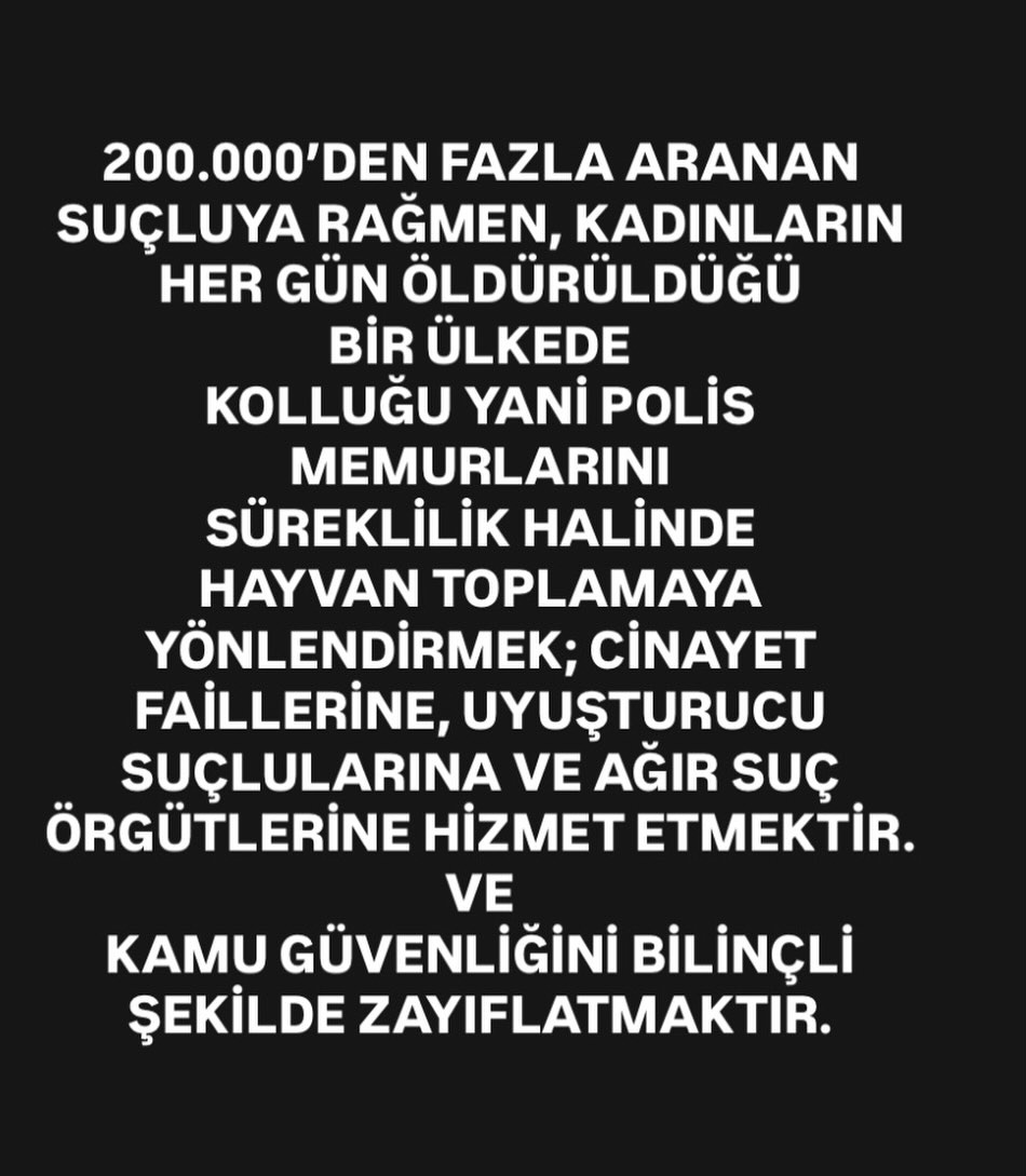 Koçovalı tweet media