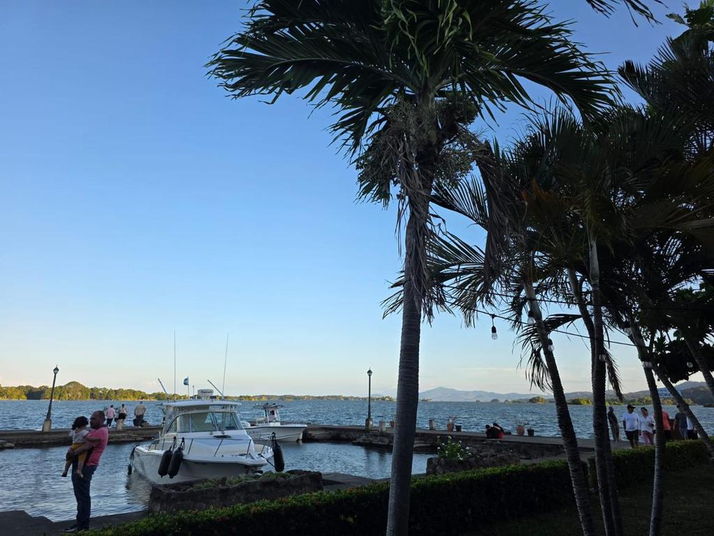 Cañón Digital tweet media