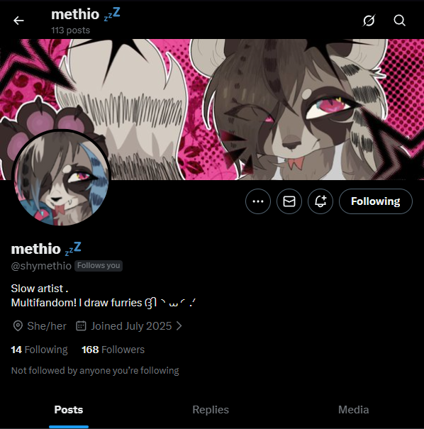 validação tweet media