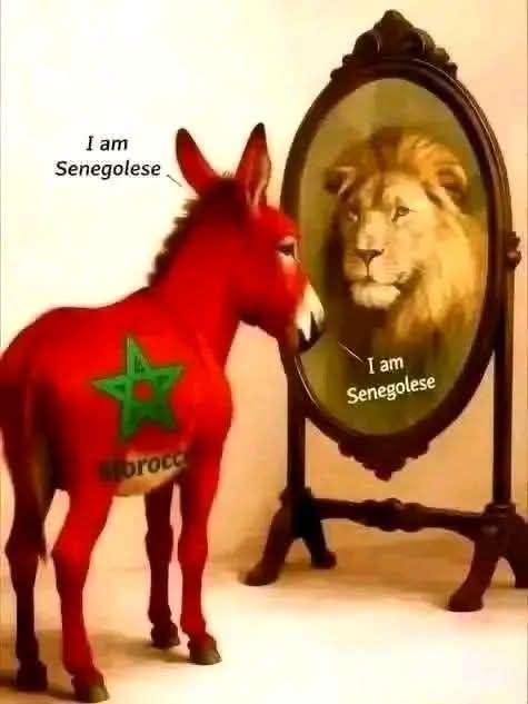 Thé-Dz-ⵣ☪︎-(ⵜⵉⴽⵀⵔⴰⴼⵉⵏ) tweet media