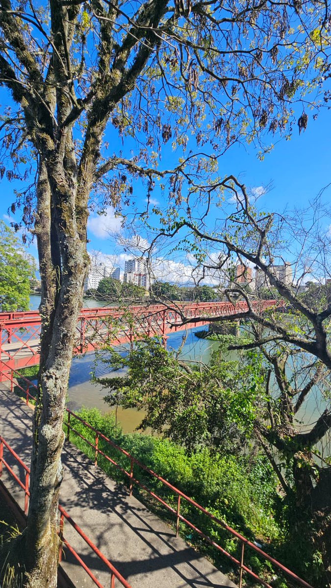 Noite de Copa tweet media