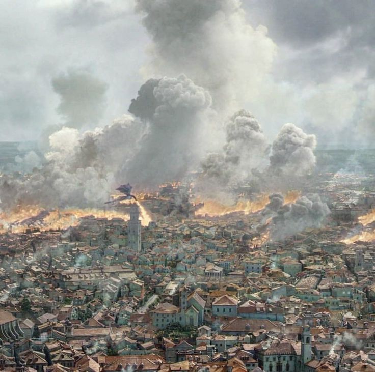 freeholder. tweet media