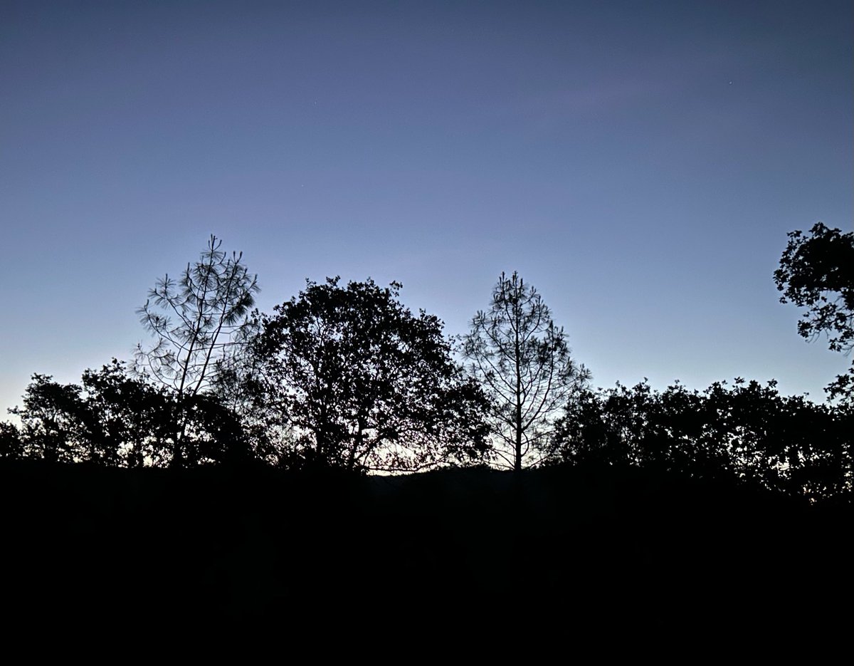 bknob's tweet photo. Best time of the year, early morning in the turkey woods. https://t.co/Cv55KyIHJj