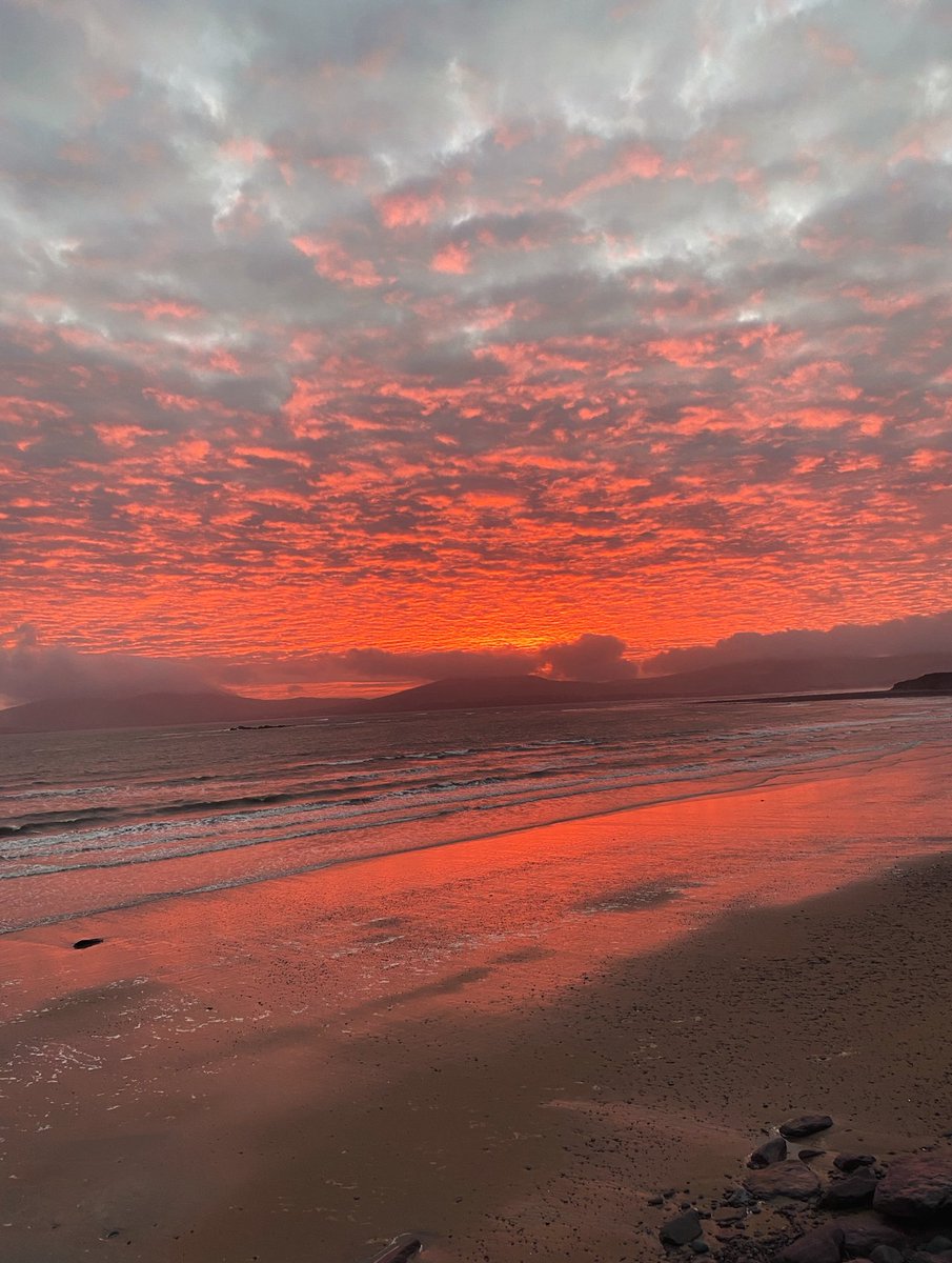 Butch Catiddy (🌈Rog & Sundance) tweet media