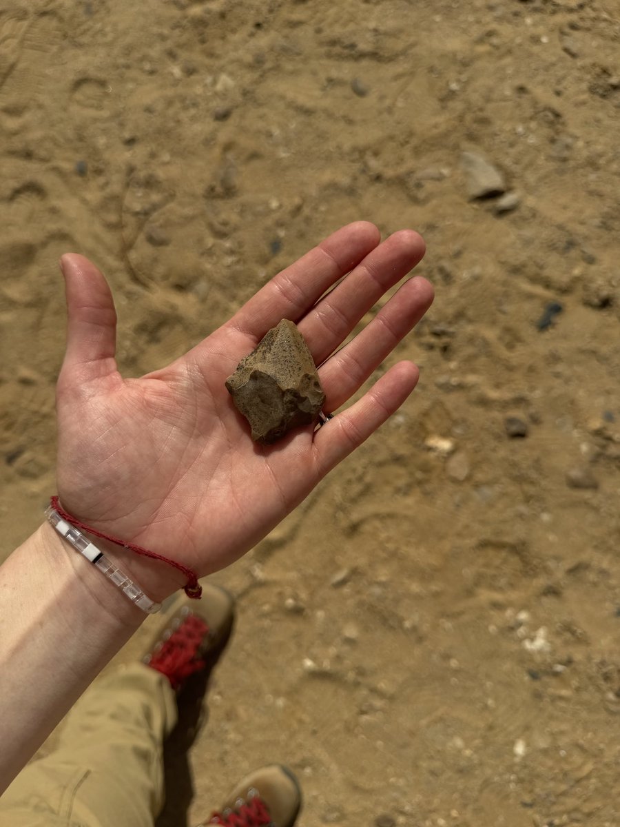 Artifact Foundation tweet media