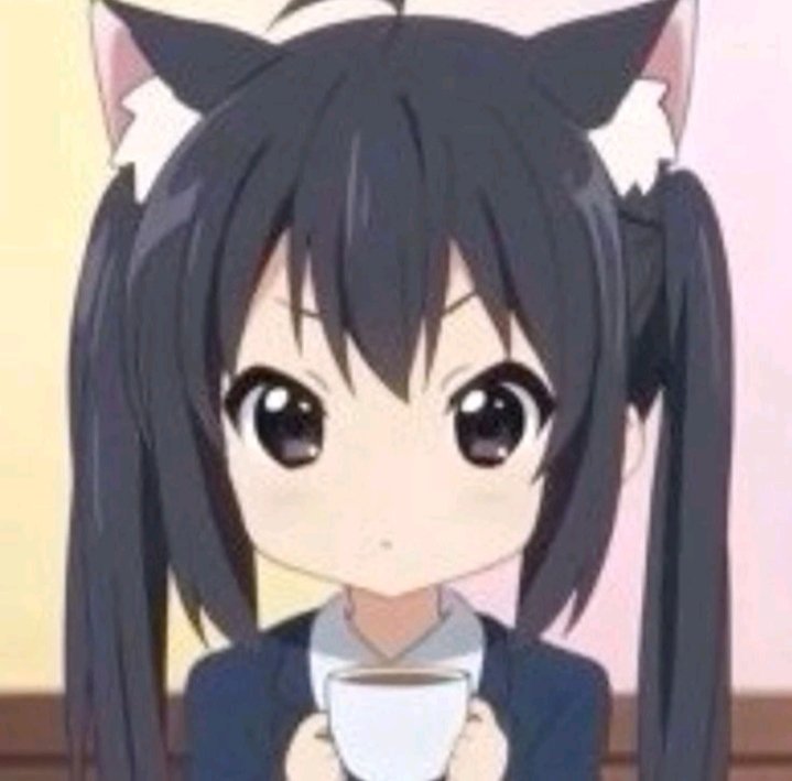 𝑆𝑜𝑙𝑎𝑖𝑟𝑒 ⋆☀︎｡ tweet media