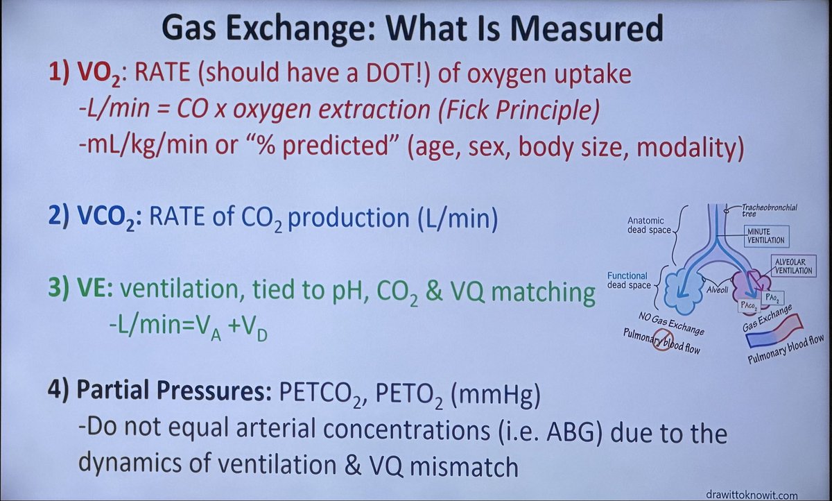 Abdul Moiz Hafiz tweet media