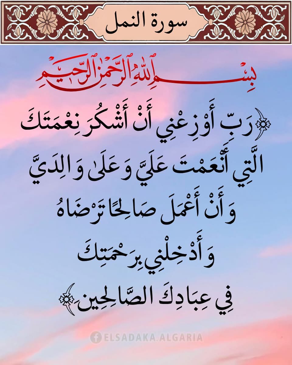 🦋Hosam Ashraf🦋 tweet media