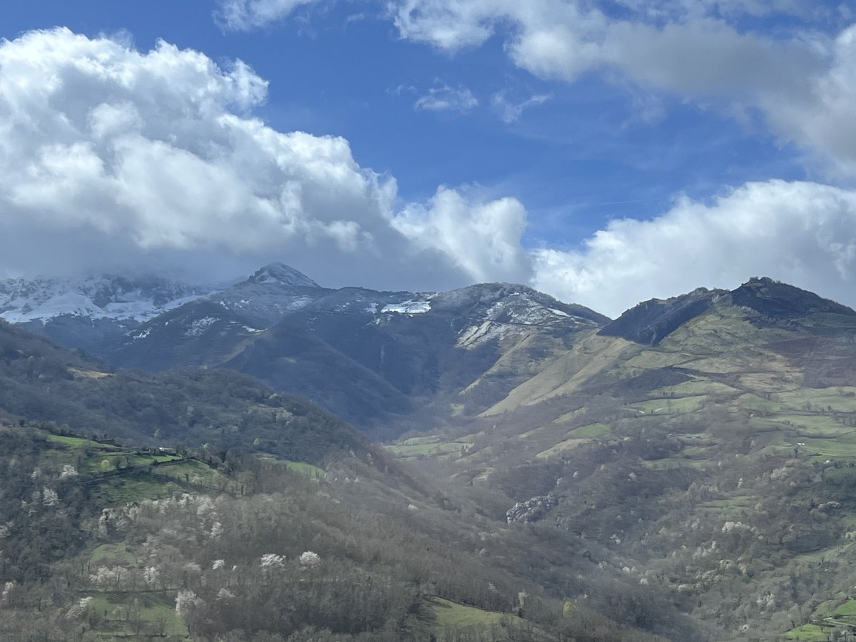 Sid Lowe tweet media