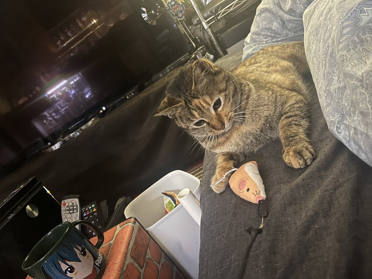 マー君 tweet media