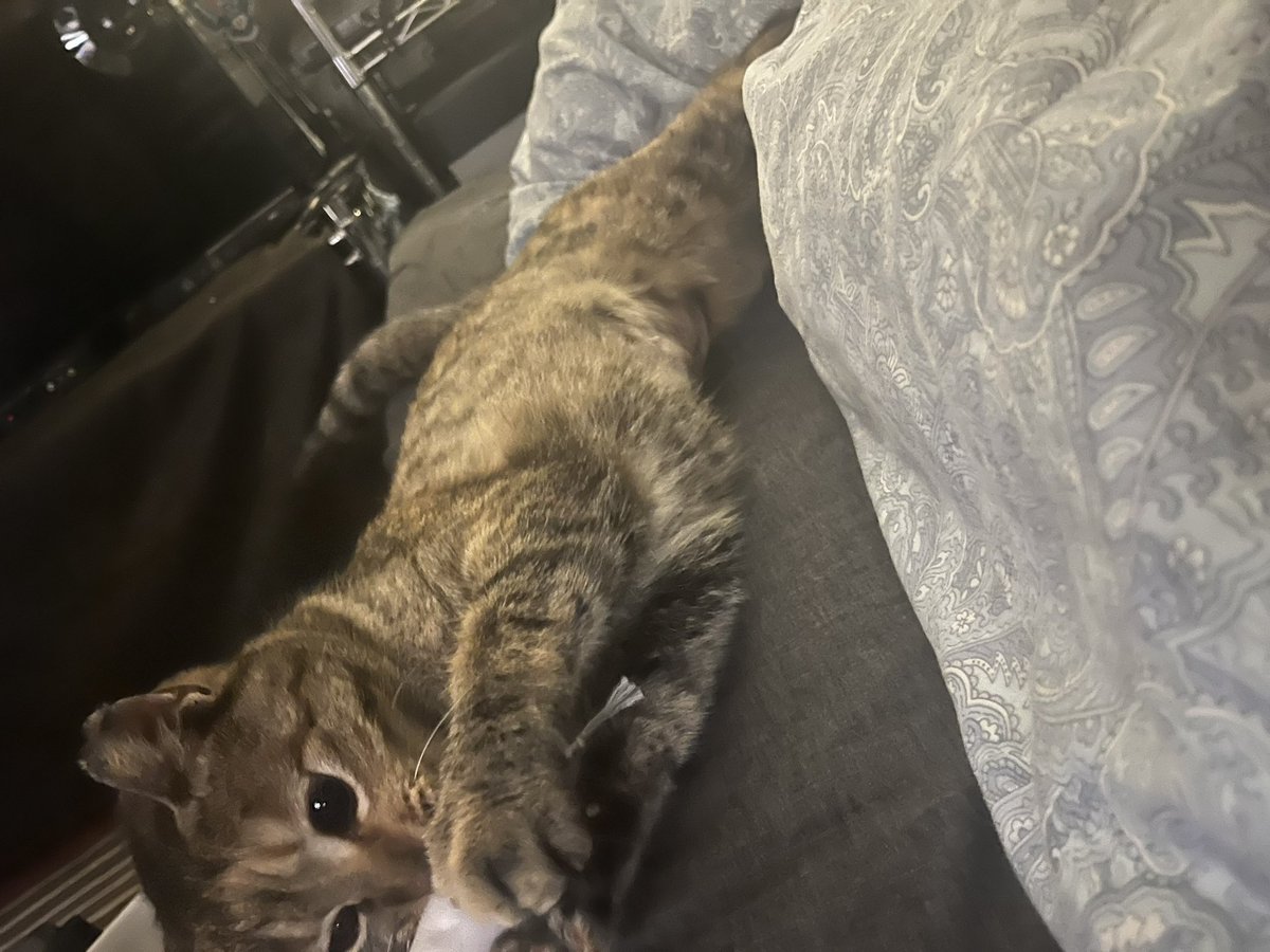 マー君 tweet media