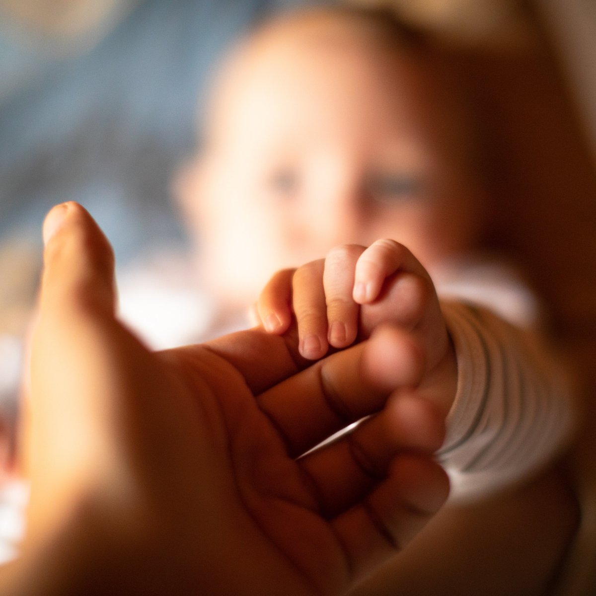 SİYAH SANCAK tweet media