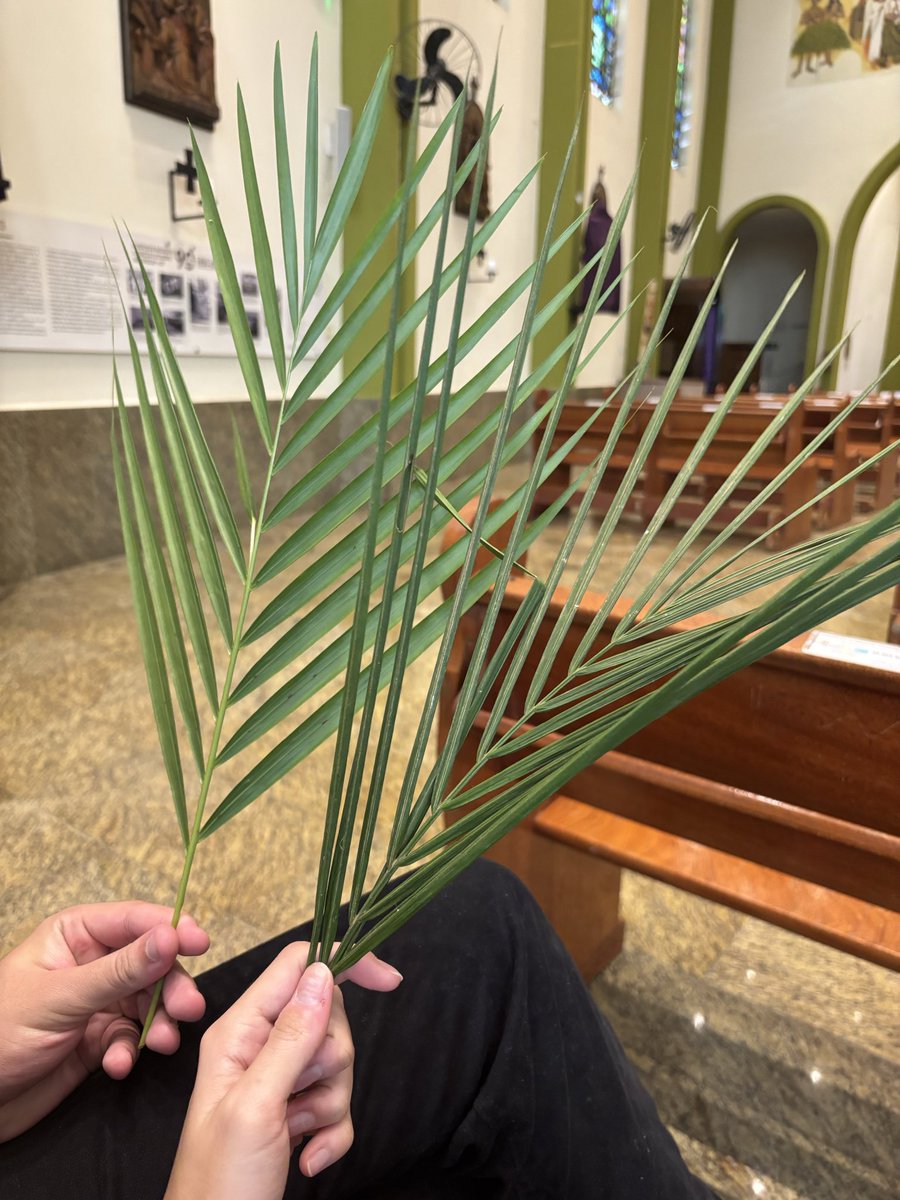 dr. house médico de família tweet media