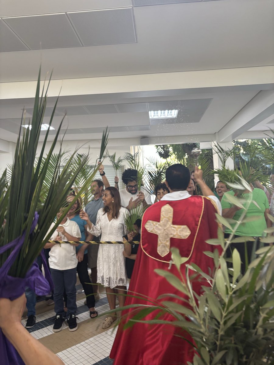 dr. house médico de família tweet media