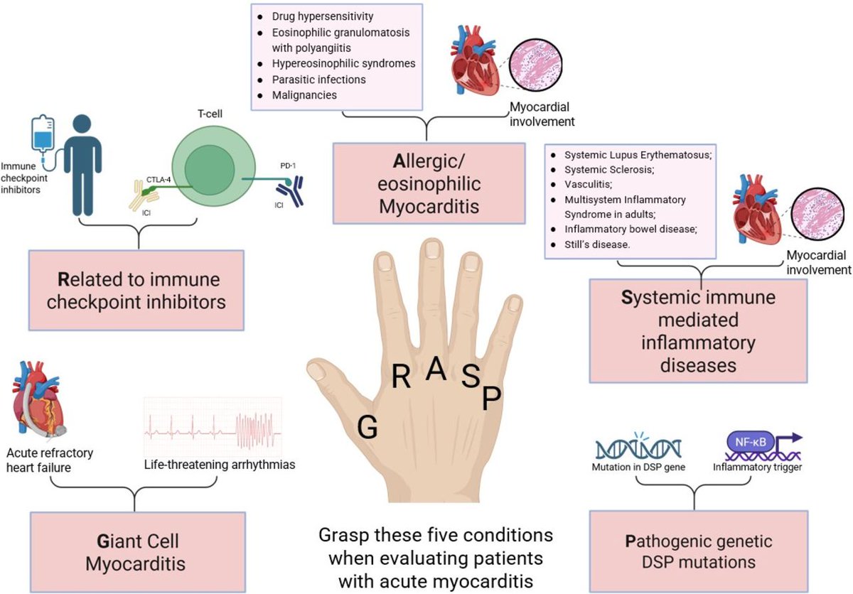 Heart_BMJ tweet media