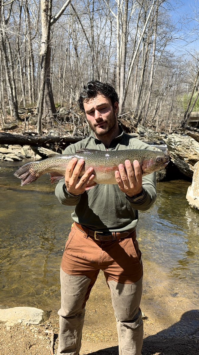 Levi Conely tweet media