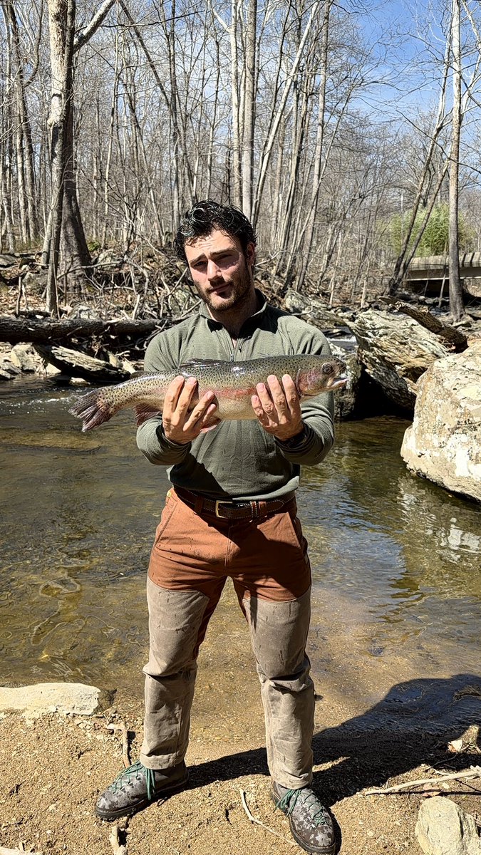 Levi Conely tweet media