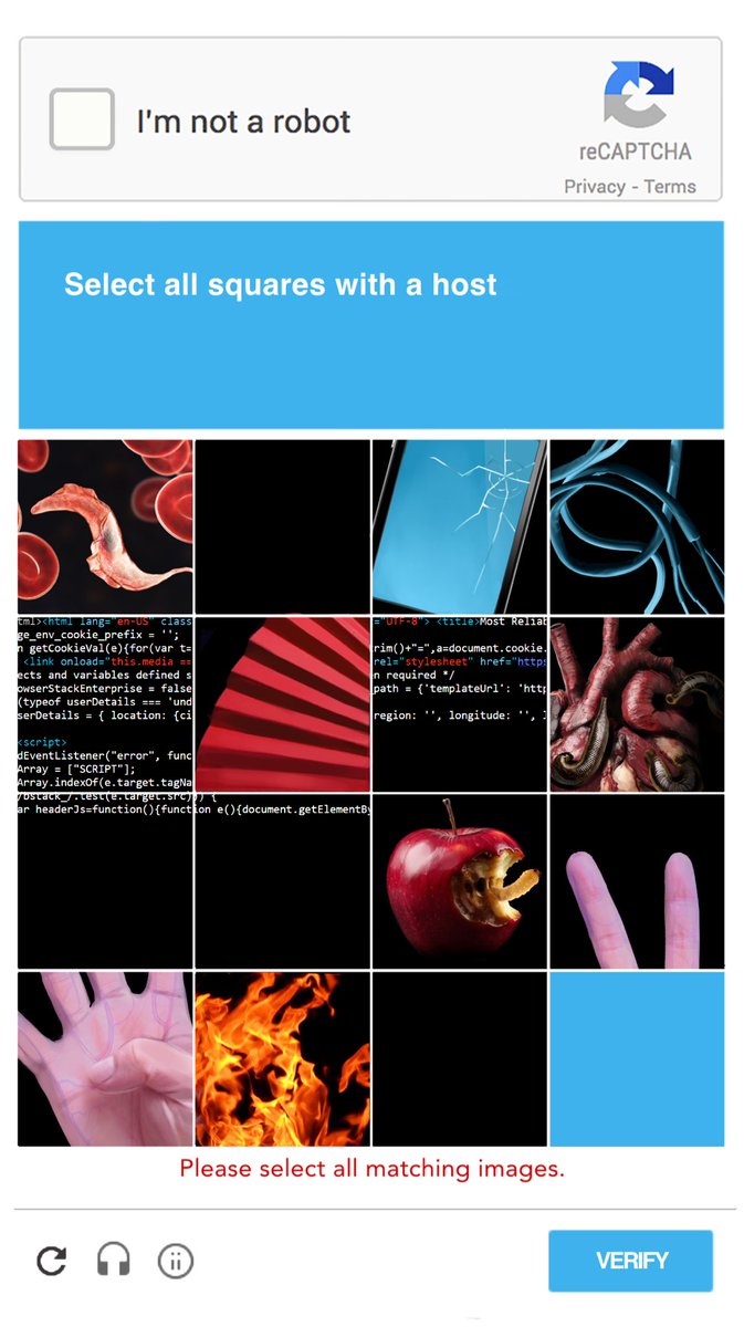 eating a bagel tweet media