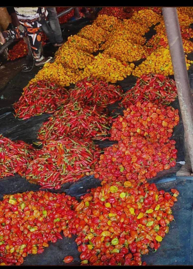 Inside Òṣogbo tweet media