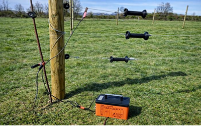 Revista Castilla y León tweet media