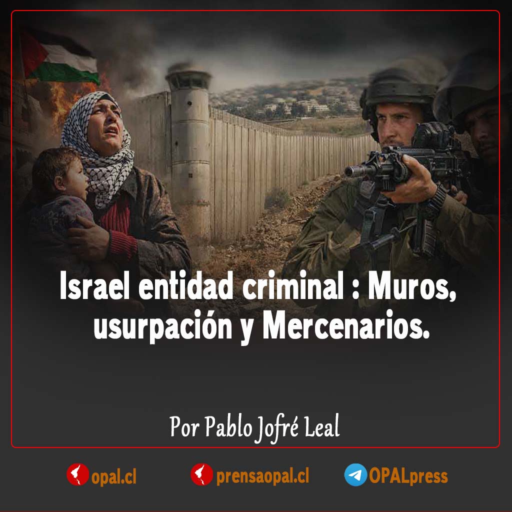 OPAL prensa tweet media
