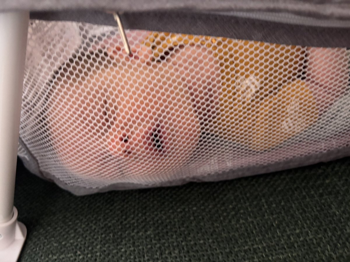 Tell me you had an anterior placenta without telling me you had an anterior placenta 😭😭😭😭😭😭