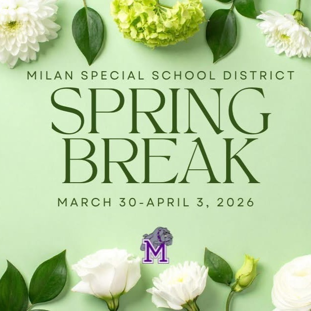 MilanSpecialSchoolsTN tweet media