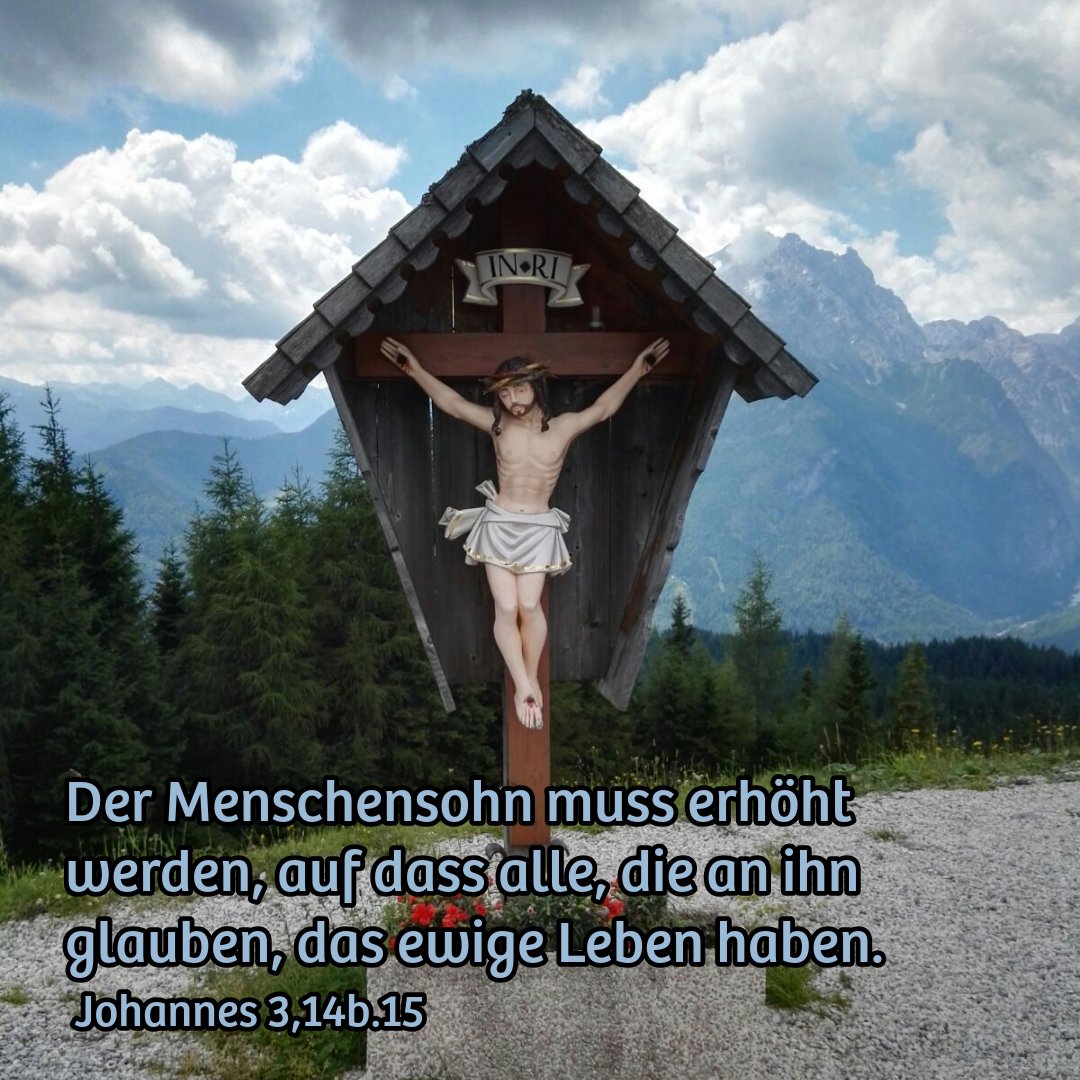 Jörg Bachmann tweet media