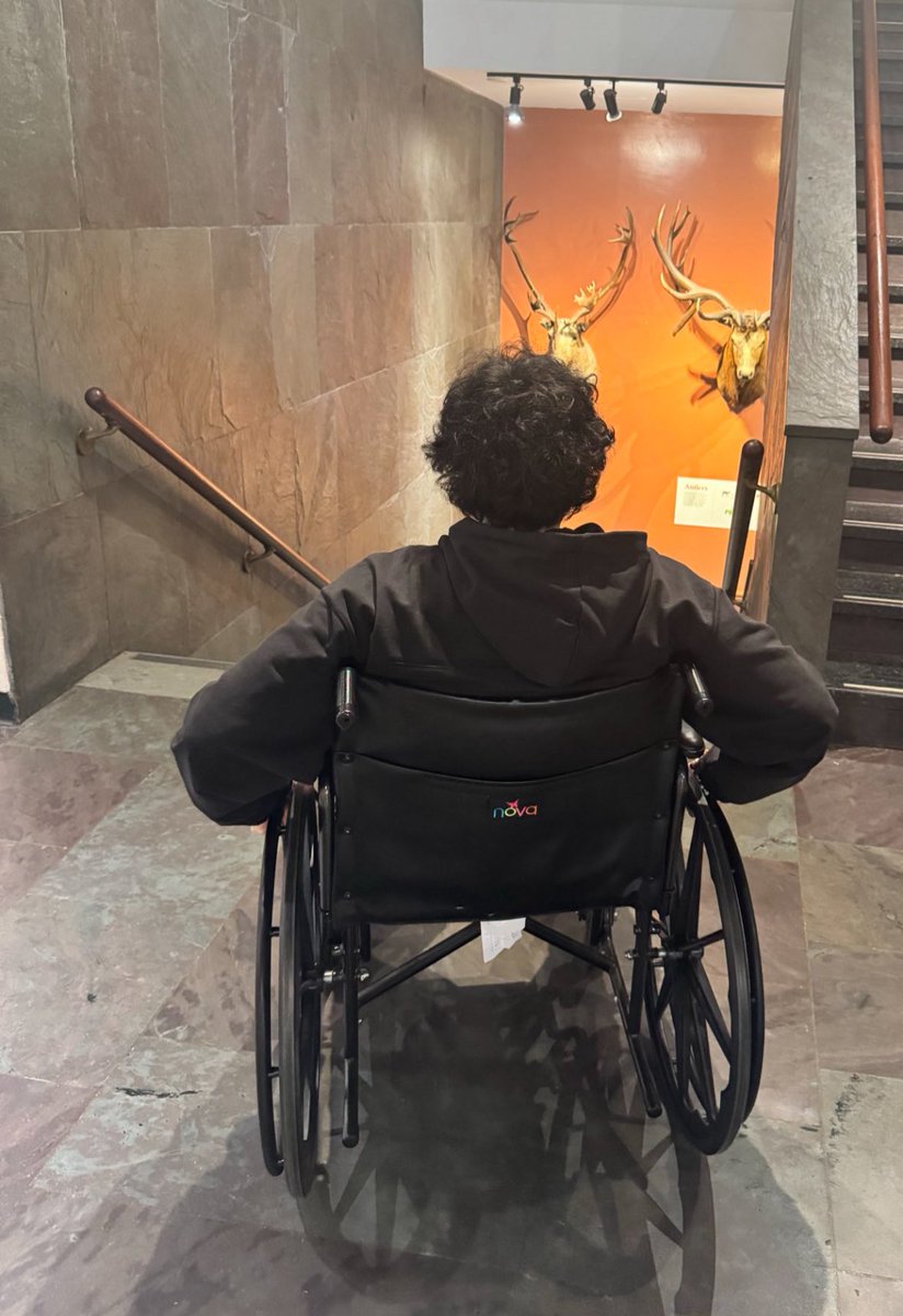 revivebnny tweet media