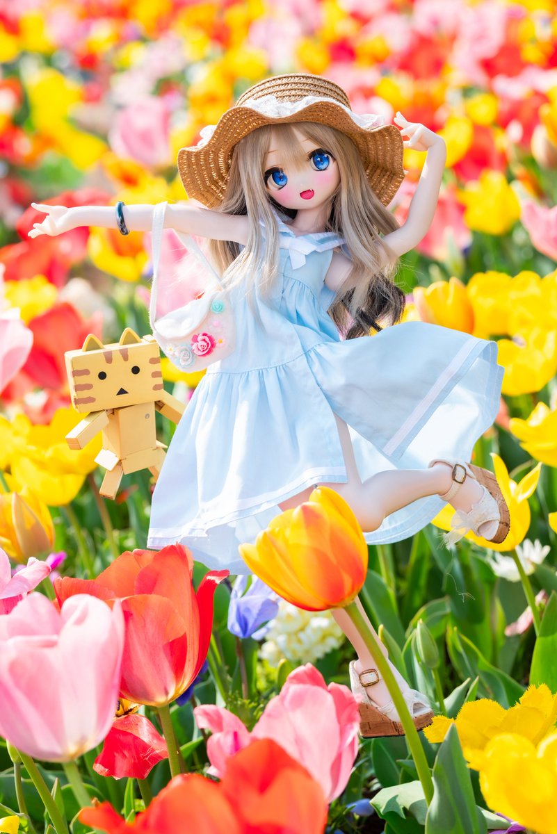 🍚しょー吉🍚 tweet media