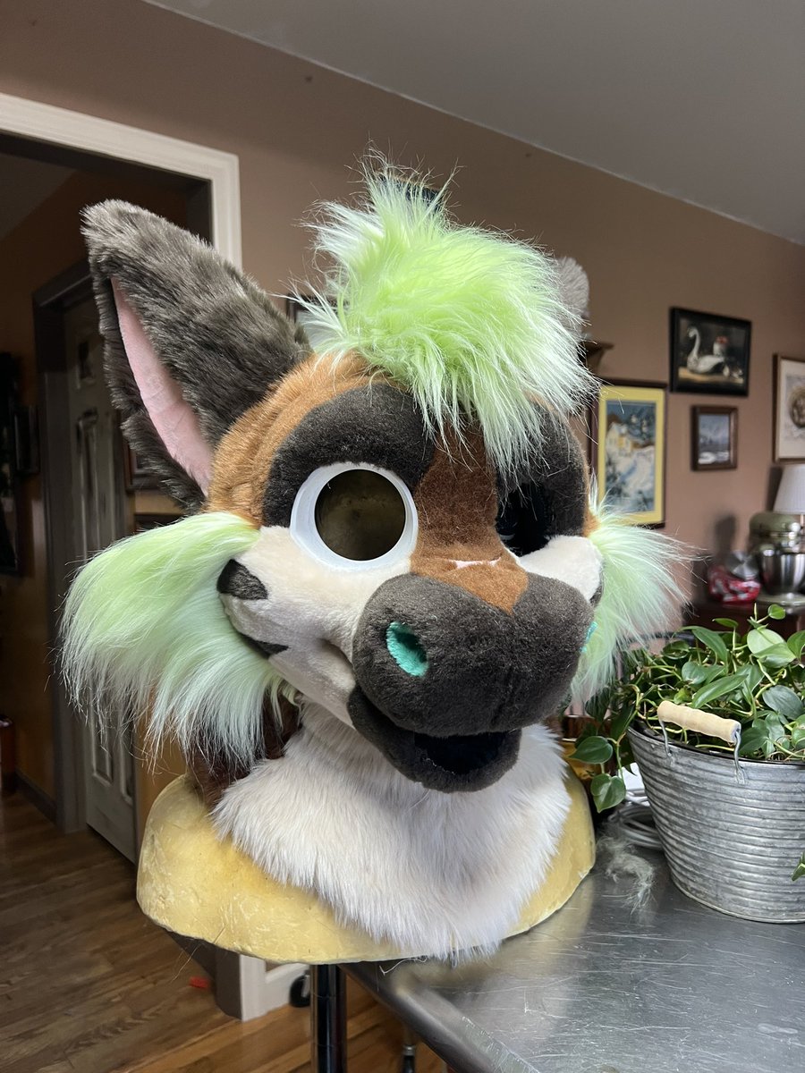 Lily Moon suits tweet media