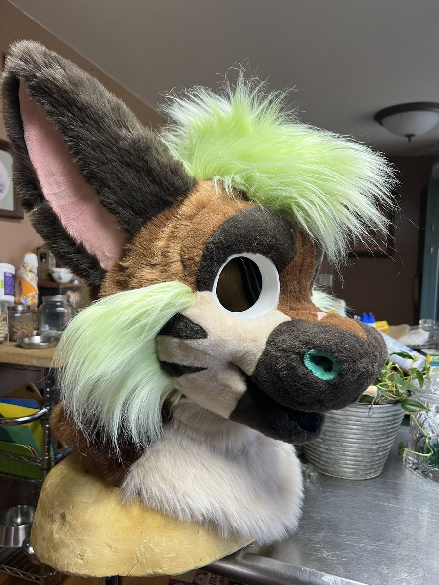 Lily Moon suits tweet media