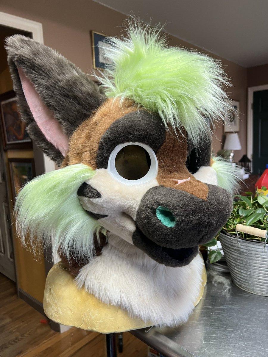 Lily Moon suits tweet media