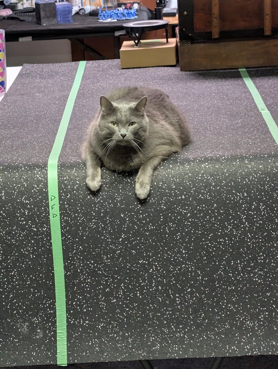 Dumpling and Crab Rangoon, Jasper 🌈 tweet media