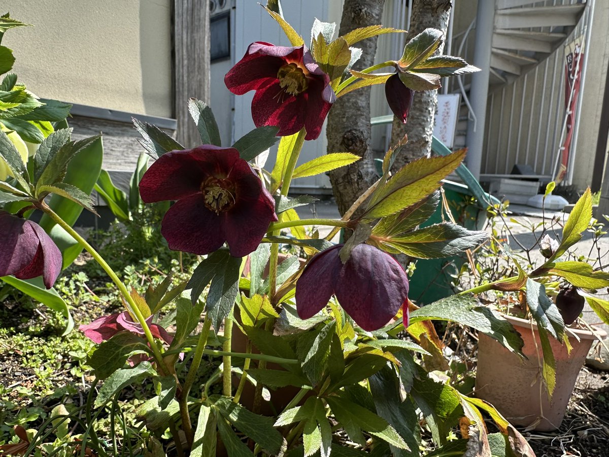 高島陽子 tweet media