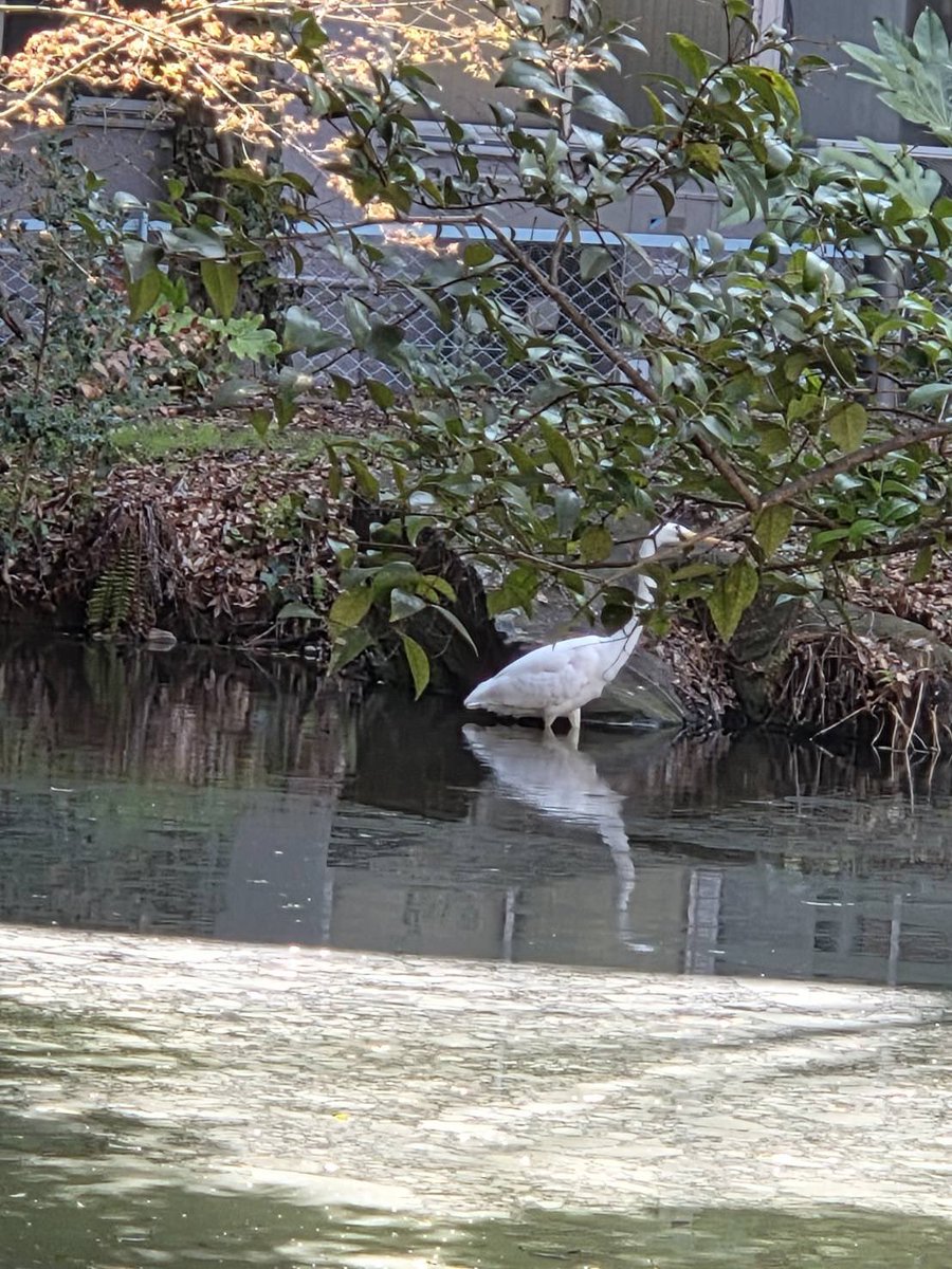 高島陽子 tweet media