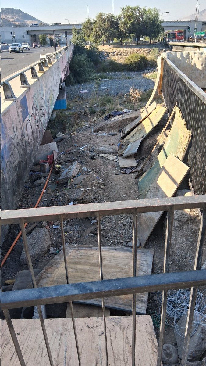 Patty 🐾❤️ tweet media