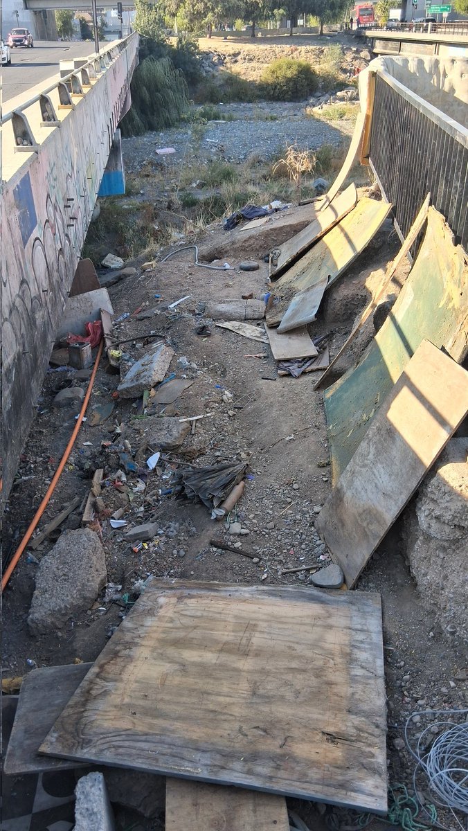 Patty 🐾❤️ tweet media