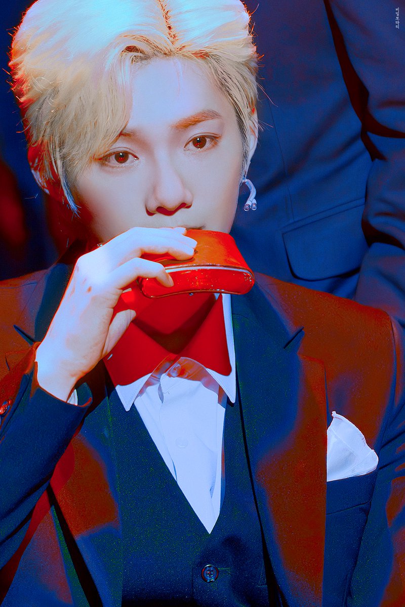 비밀보따리 tweet media