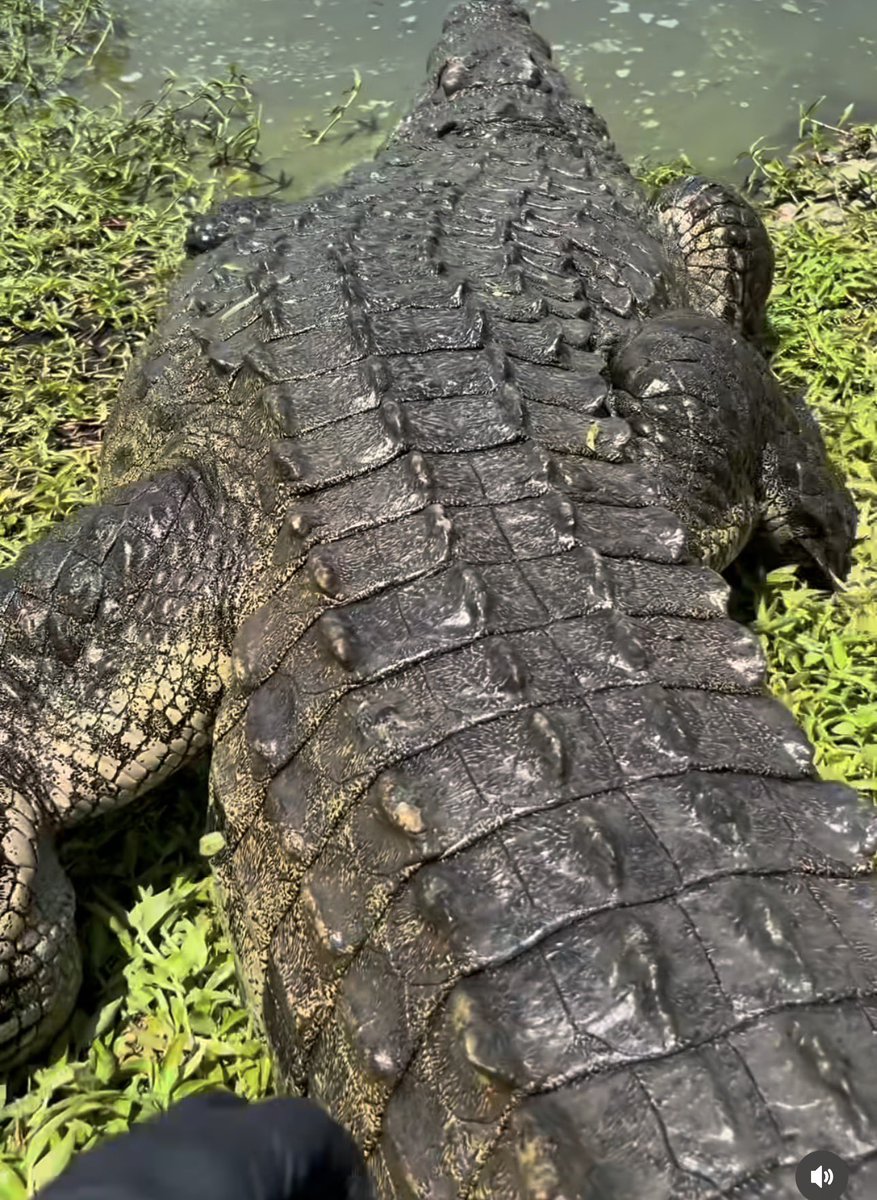 All you do is sit and be a lazy bum