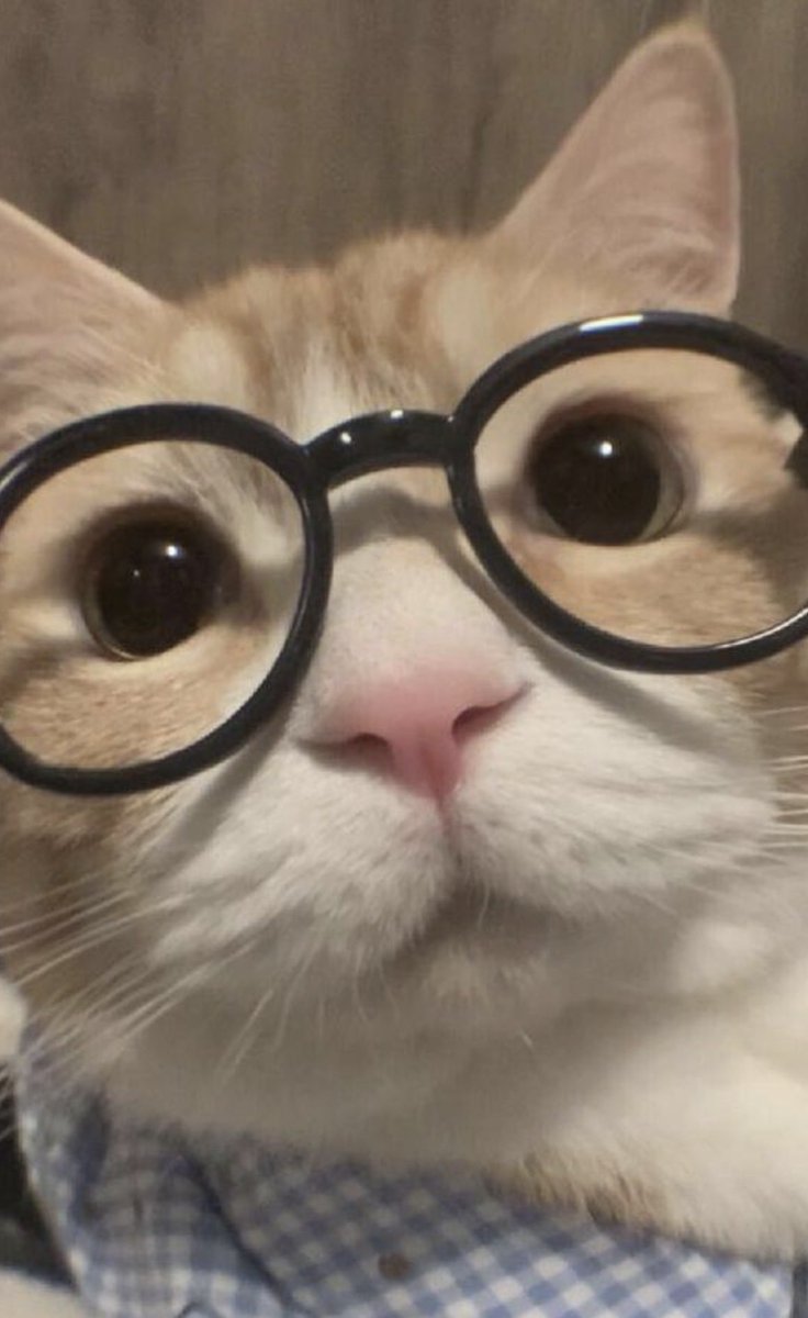 CryptoALT tweet media