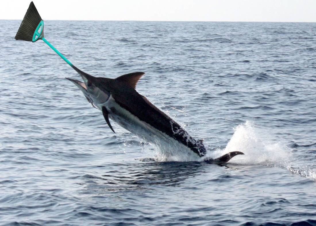 Mike Hunt tweet media