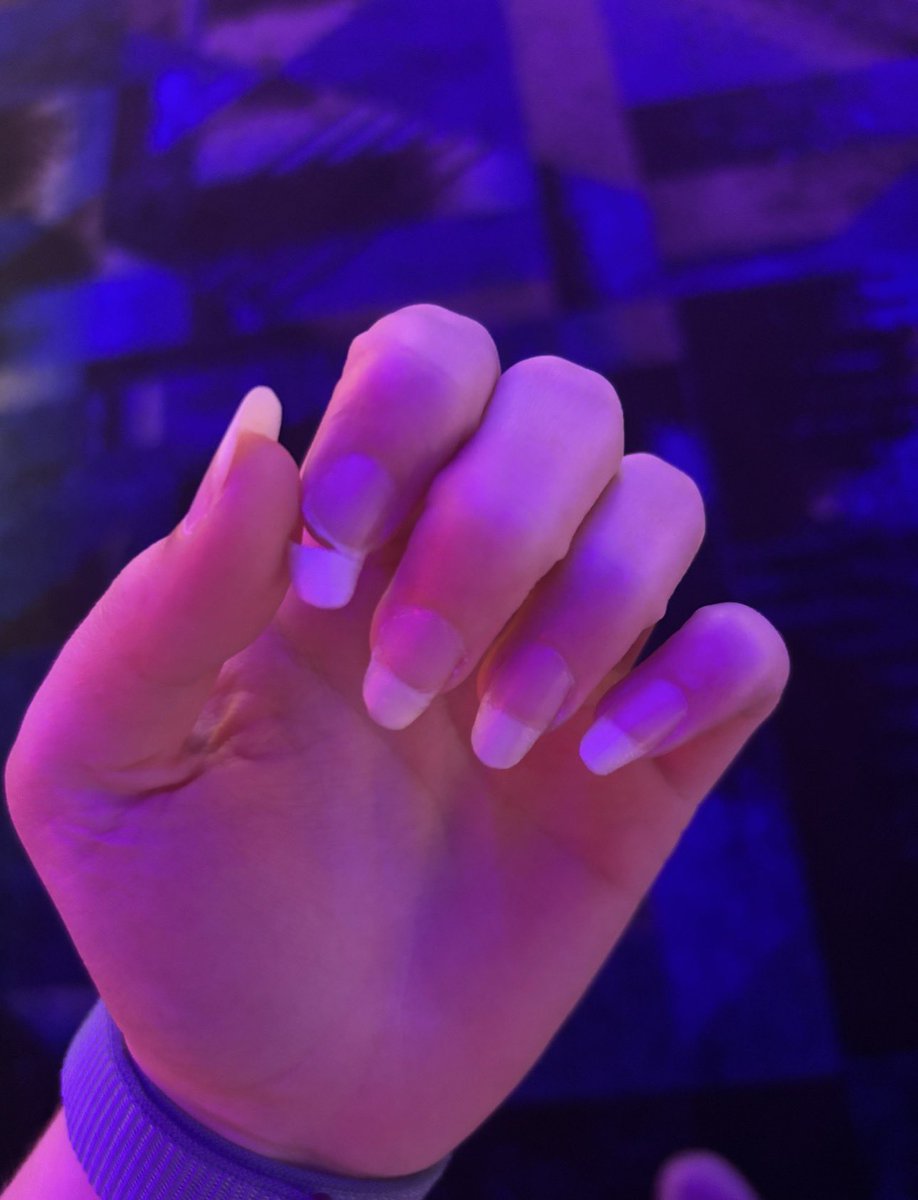 MegalodonVT | Shark Vtuber 🦈🫧💜 tweet media