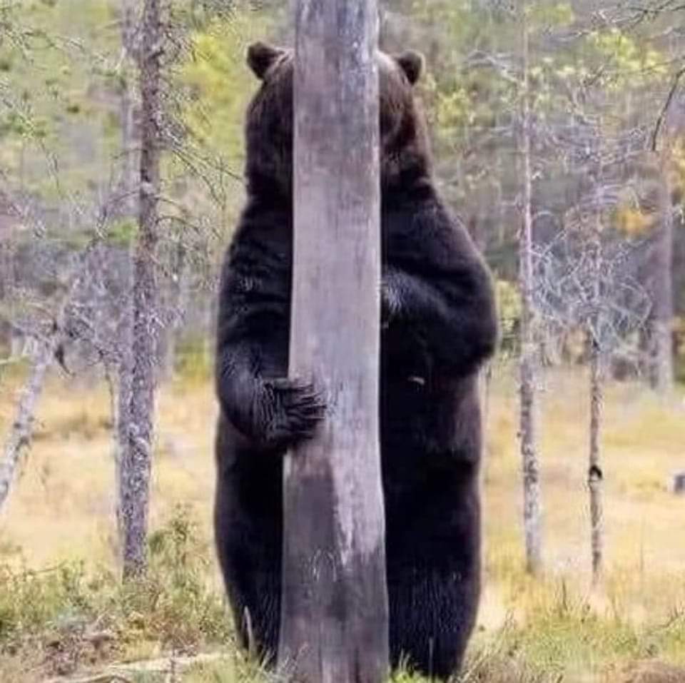 コテツ@東京軽貨物 tweet media