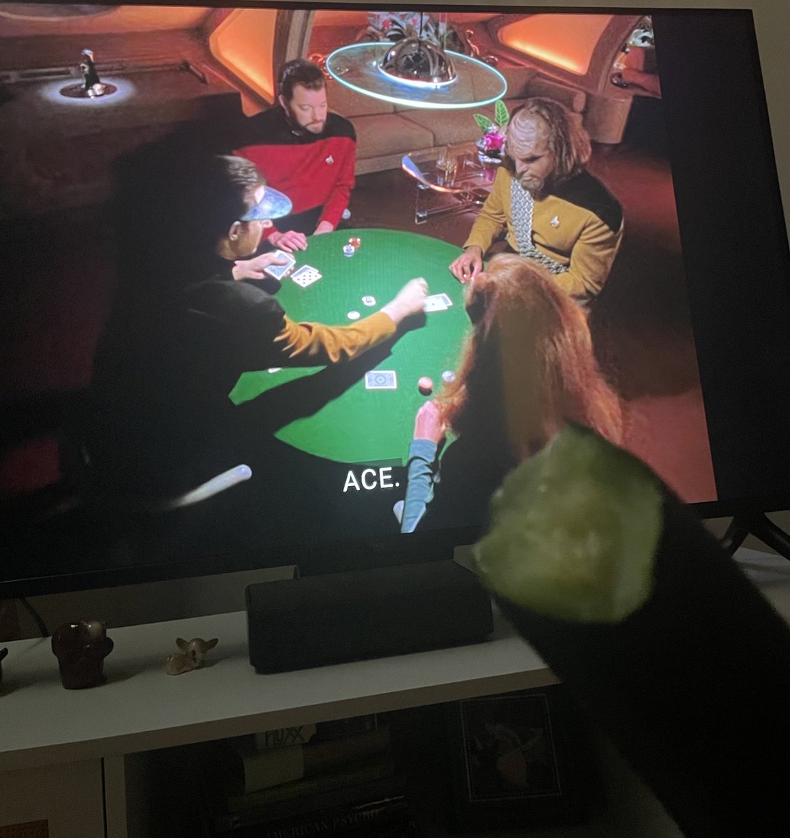 julie 🥽🧪 tweet media