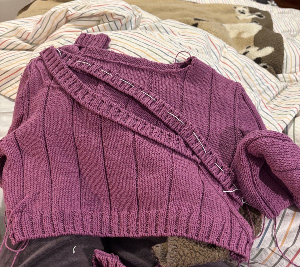 🍉Paola, perplessa tweet media