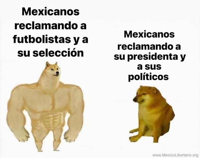 DRA. MERCEDES PAVON "SUPERMUELITA FIFÍ" tweet media