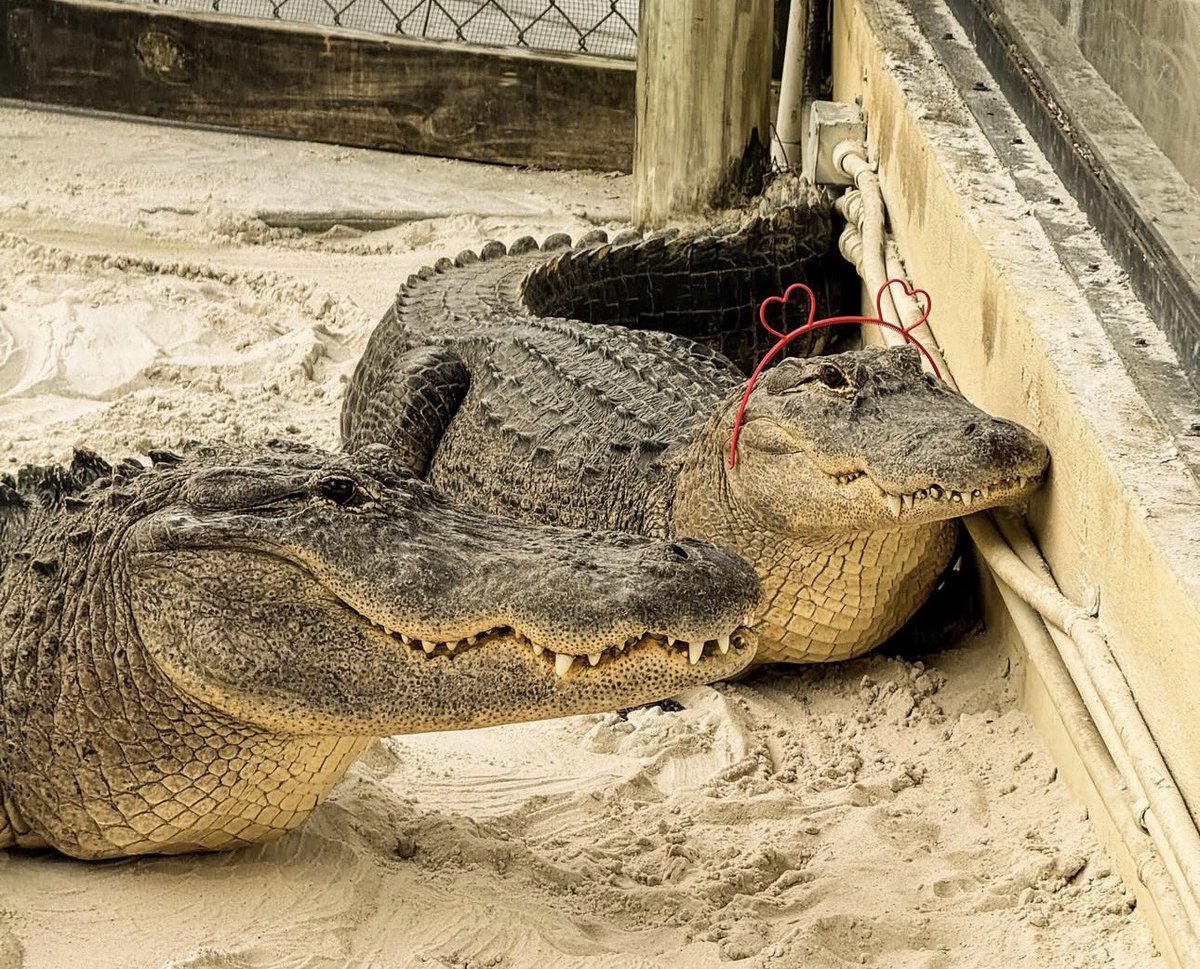 I am the one with the head band