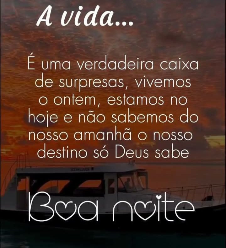 Gil Belli - 🫡🇧🇷🫡 tweet media