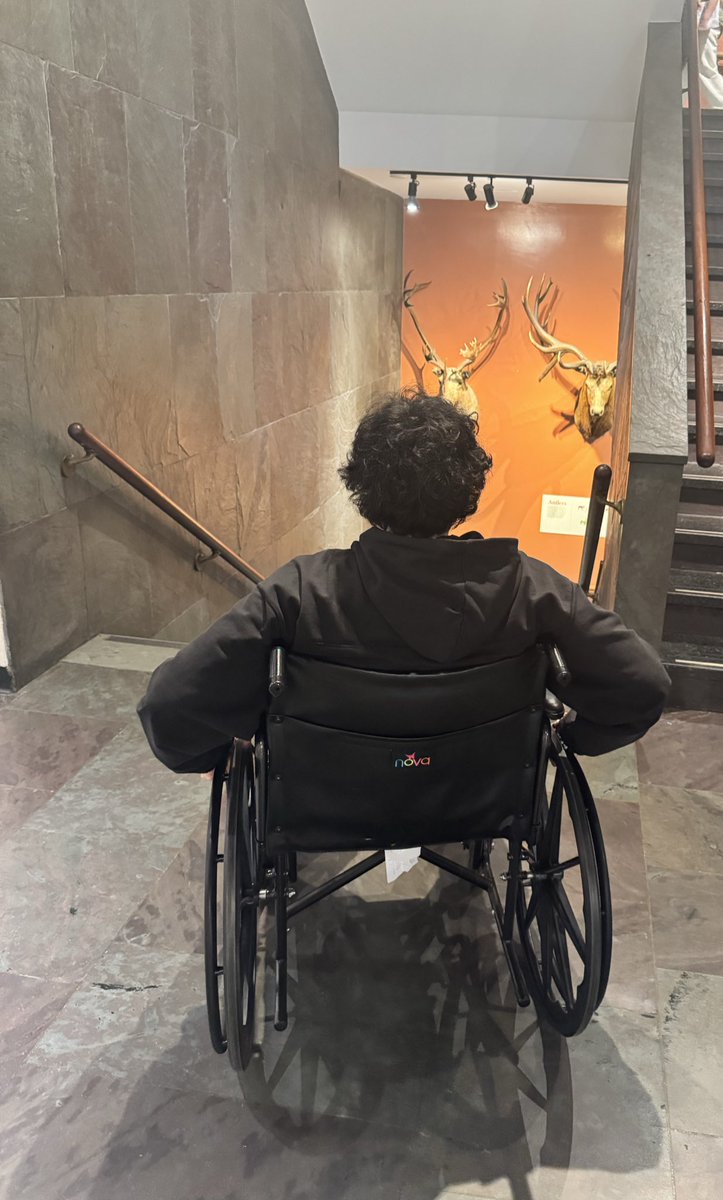 Bigpuffer tweet media